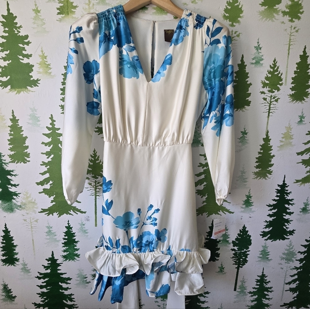 Taylor Ruffle Hem Fit and Flare Mini Dress.